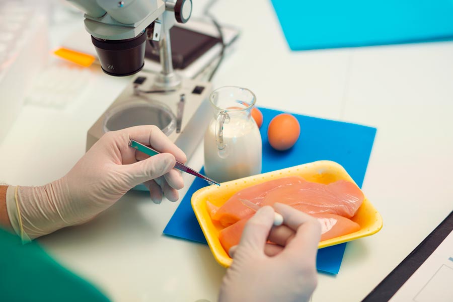 Food quality control expert