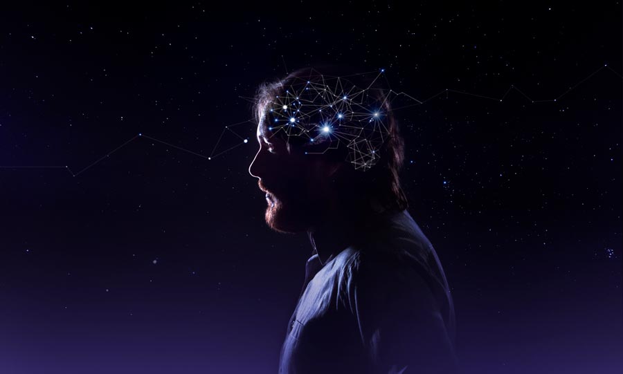 Neurons in the brain